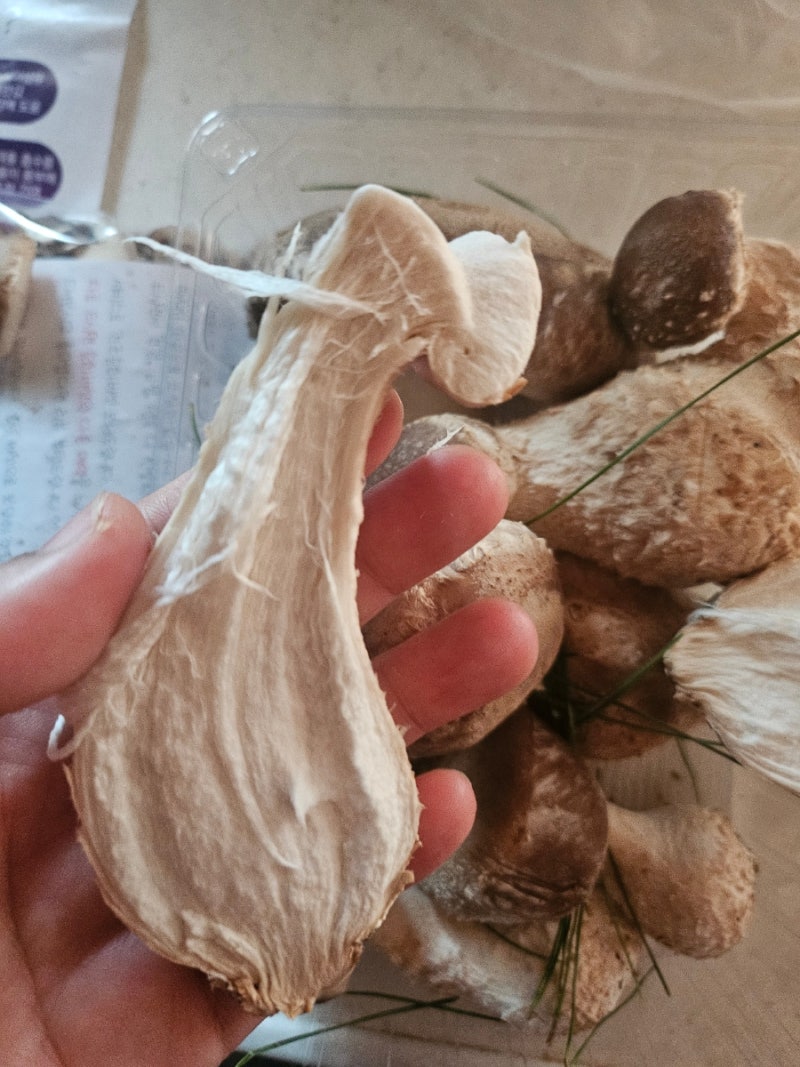 송화버섯 1kg 득템! 먹는 법 & 보관법까지 정리✨