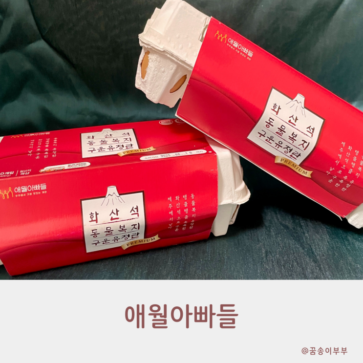 애월아빠들 화산석 구운란 구엄닭백숙까지 신선해요