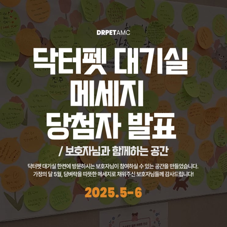  대기실 게시판 2025년 5월 보호자님 메세지 추첨 결과 (부산 24시 동물병원)
