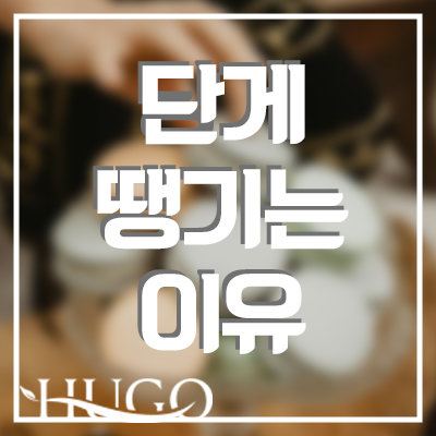 단게 땡기는 이유! 생리 전 단게 땡기면 대처방법에 대하여