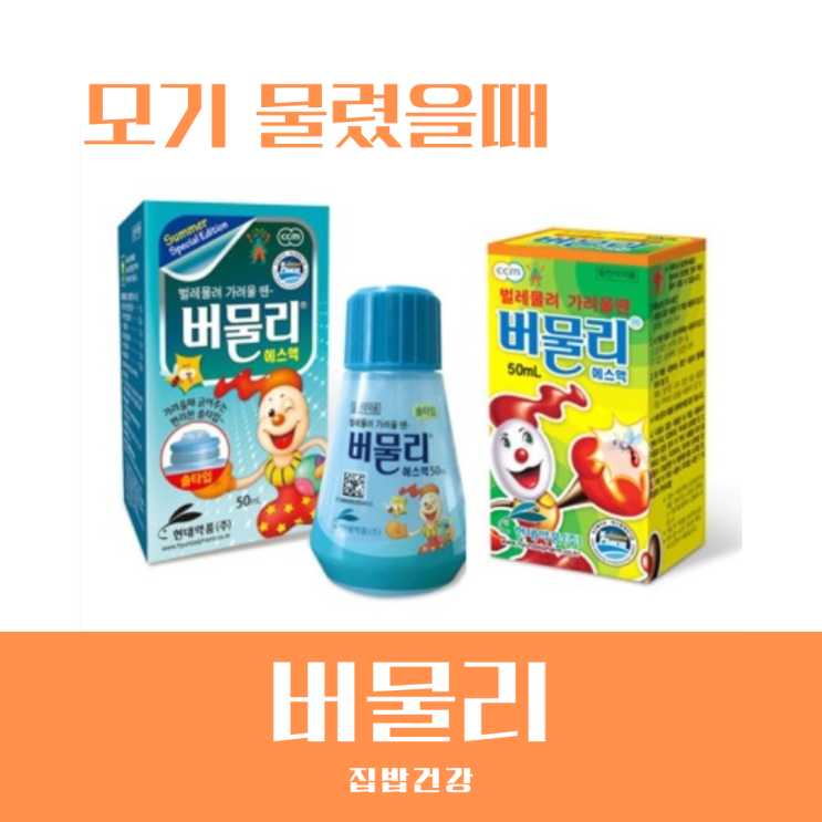 모기 물렸을때 바르는약 왜 다들 버물리부터 찾을까?