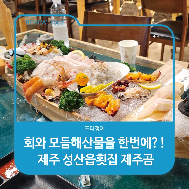  회와 모듬해산물을 한번에?! 제주 성산읍횟집 제주곰