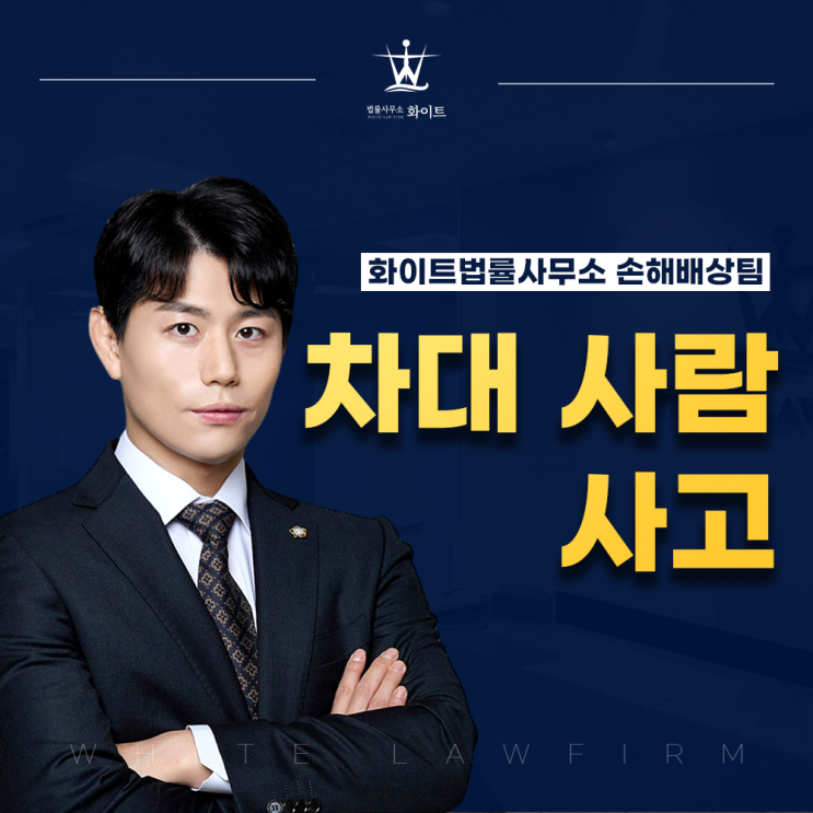  차대 사람 사고 합의금 손해배상 산정 및 보상요구(feat.보험사)