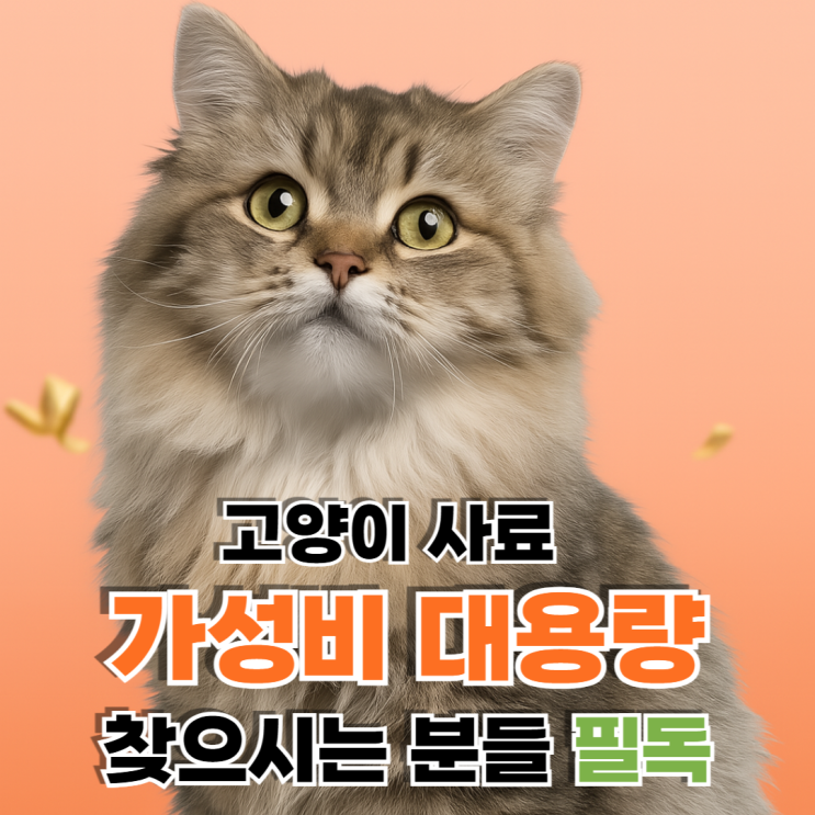  고양이 사료 대용량 고민이신 분들 필독