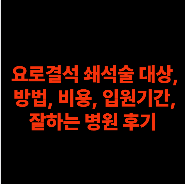 요로결석 쇄석술 대상, 방법, 비용, 입원기간, 잘하는 병원과 후기 총정리