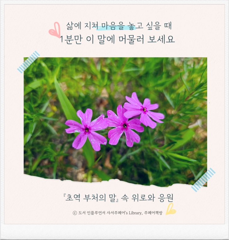 책담知/ 삶에 지쳐 마음을 놓고 싶을 때 1분만 이 문장에 머무르세요, 초역 부처의 말