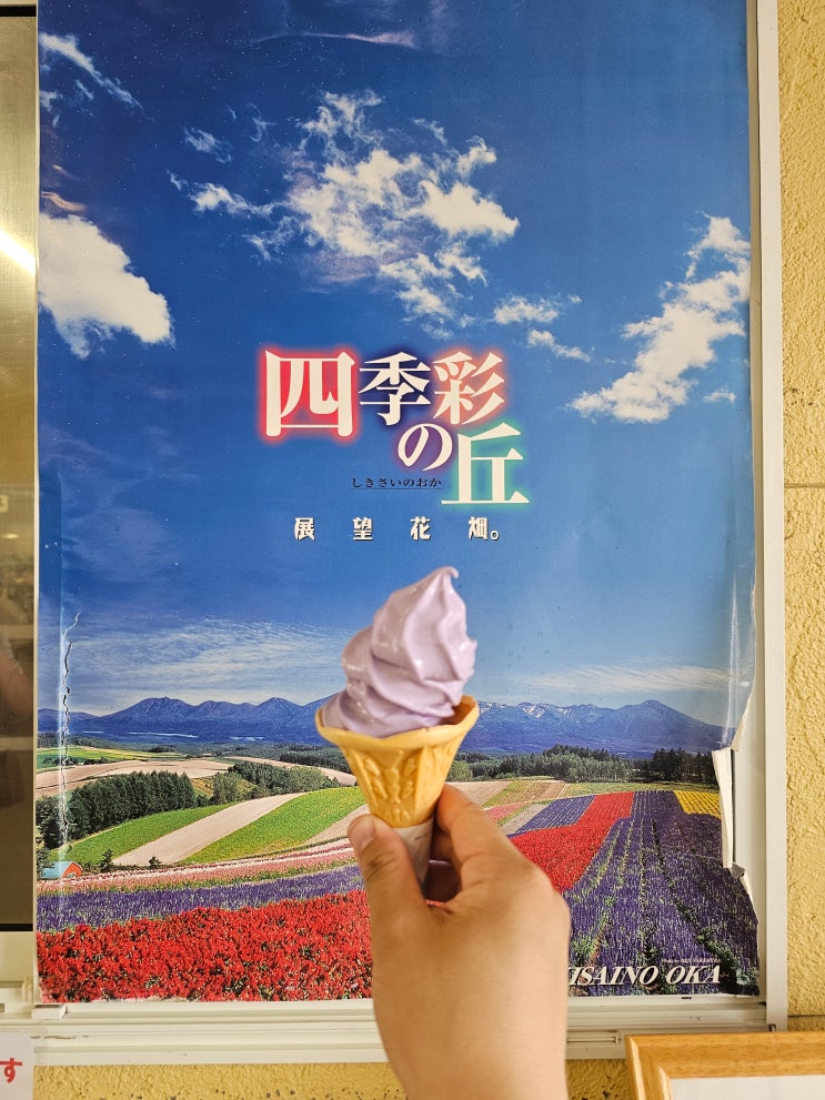  일본 홋카이도 북해도 여행 11 비에이 허브 힐 후라노 기념품 샵, 사계채의 언덕