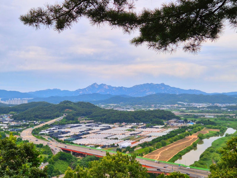 사진 2