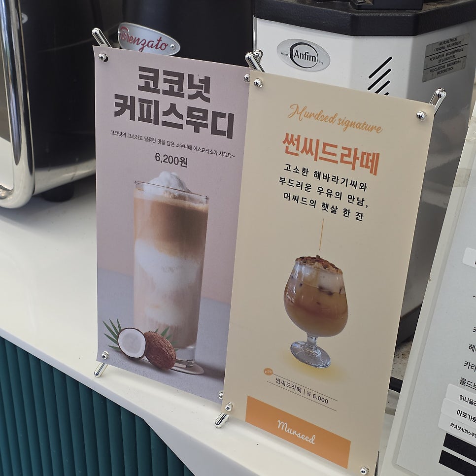 머씨드 사진 5