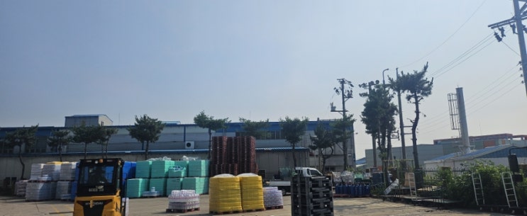  울산 북구 롯데칠성 부지내 소나무 전정대행("울산전정대행")
