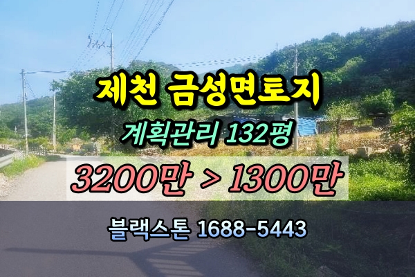  제천시 금성면 토지 100평 경매 1천만원 급매