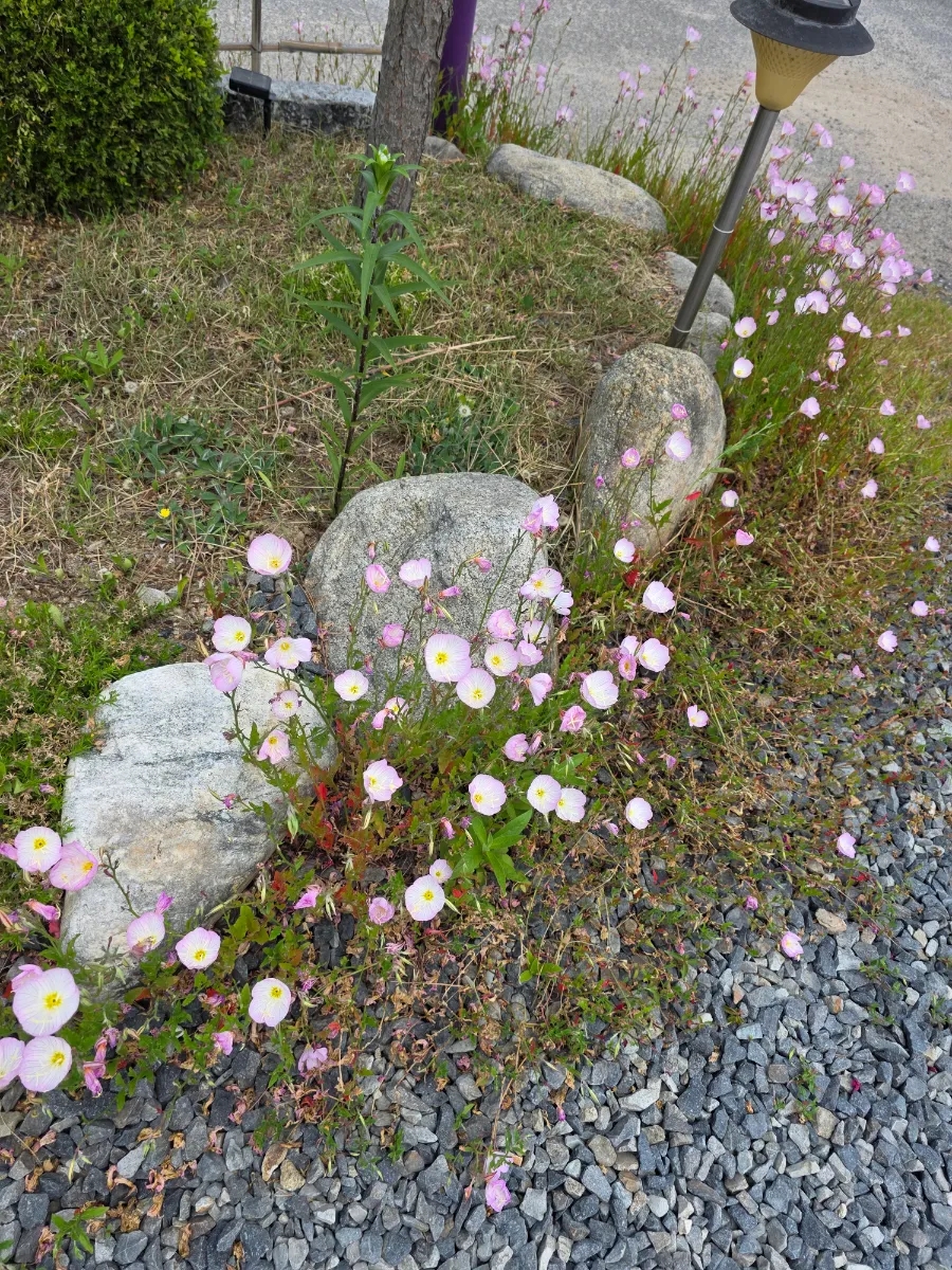 티하우스명륜 사진 3