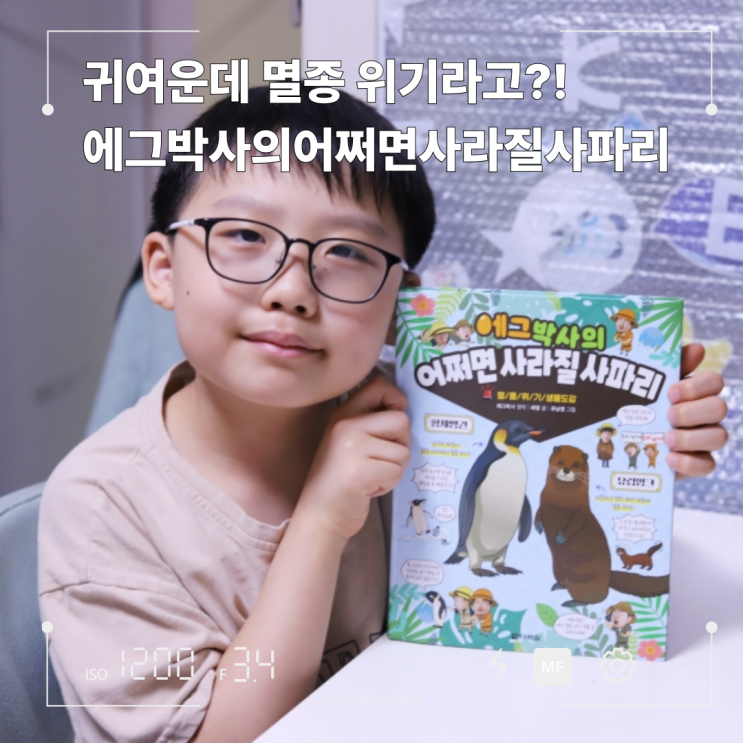 에그박사의어쩌면사라질사파리, 초4 눈높이에 쏙! 초등생물도감 추천