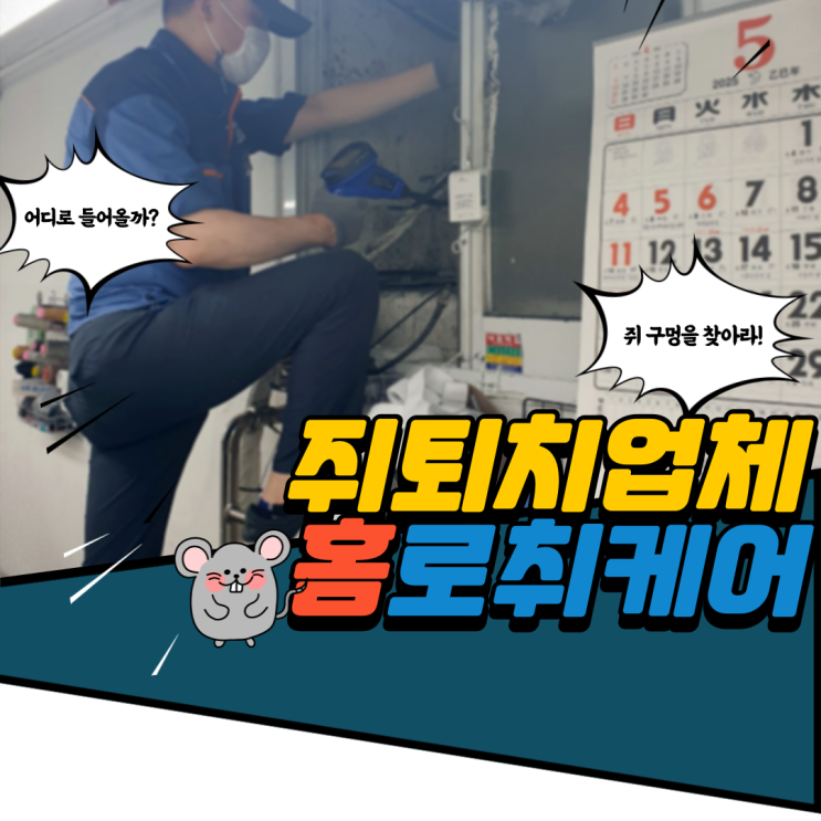쥐 잡는 거? 퇴치업체가 찐 전문가인 이유 답은 여기에