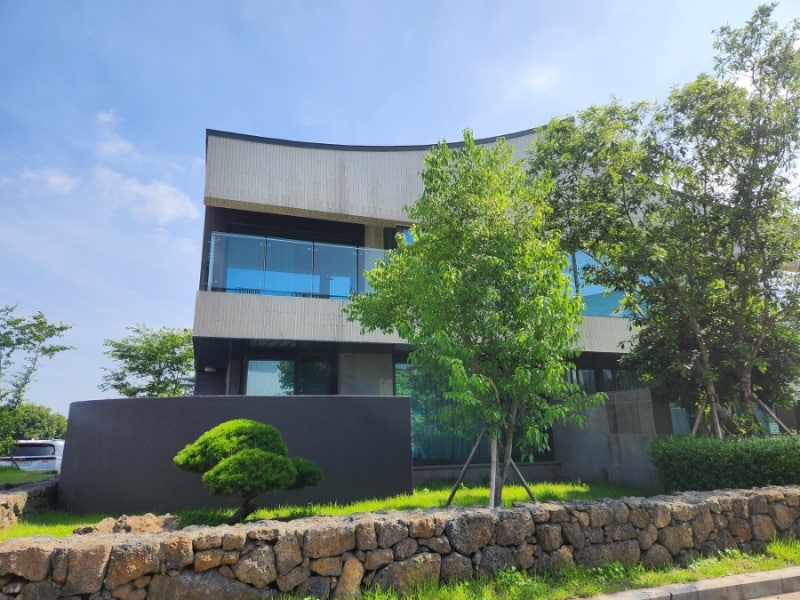 사진 5
