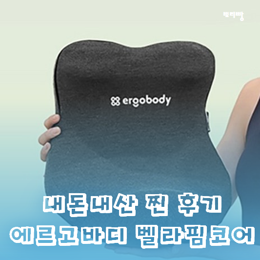  에르고바디 벨라핌 코어 스트레칭 기구 내 돈 내산 솔직한 후기