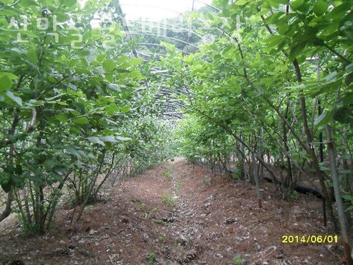 산막골 사진 5