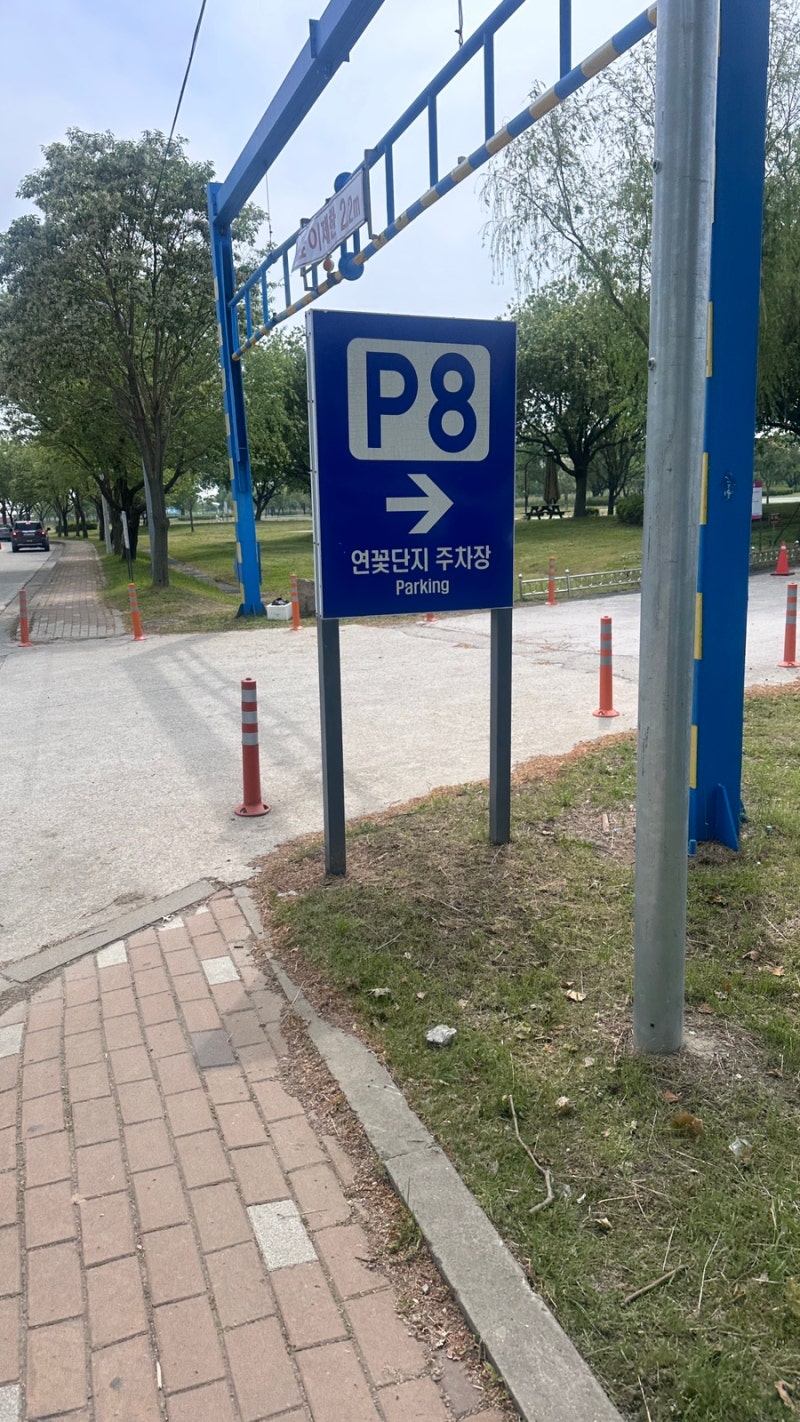 김해공항 주변 무료주차장 이용 삼락생태공원주차장 및 괘법르네시떼역 근처 주차