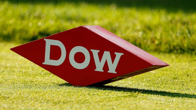 #LPGA 다우 챔피언십 1라운드 <b>임진희 이소미</b> 팀 공동 2위