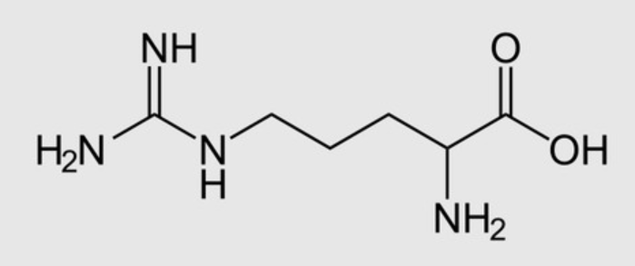  영양제 아르기닌의 효과와 섭취방법