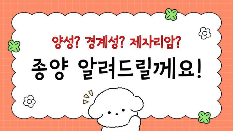  양성종양 제자리암 경계성종양? 종양에 관한 정보 알려드릴께요~