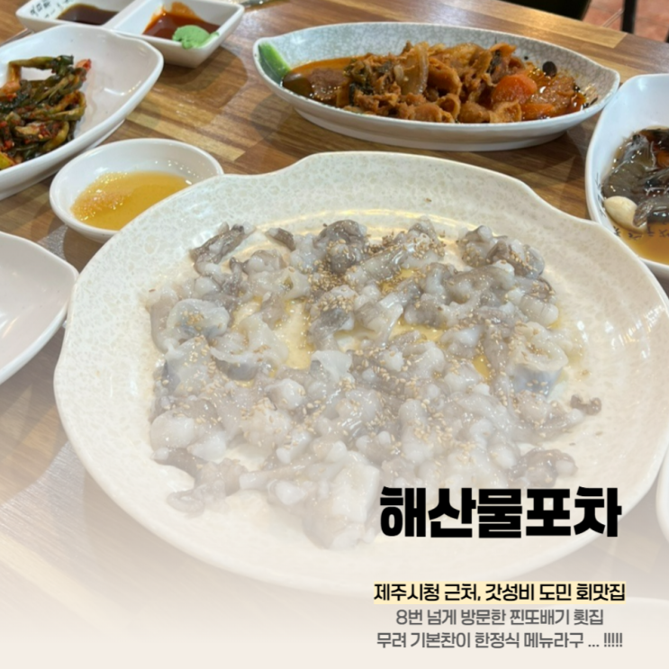  해산물포차, 제주시청 도민 회 맛집