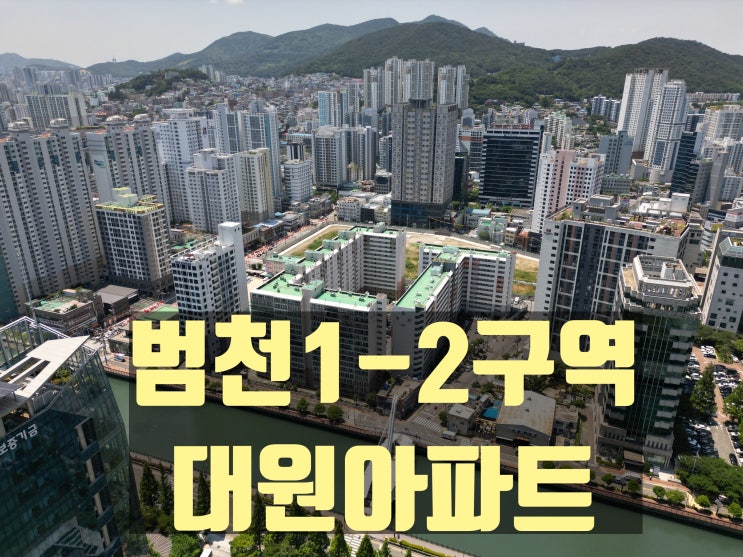  범천1-2구역, 대원아파트 정비구역 해제