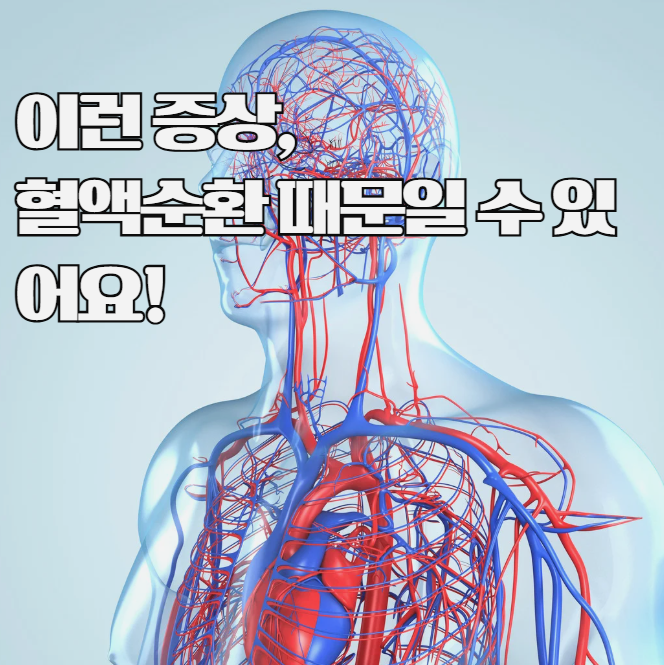 혈액순환 안될 때 증상 총정리, 무심코 넘기면 위험해요