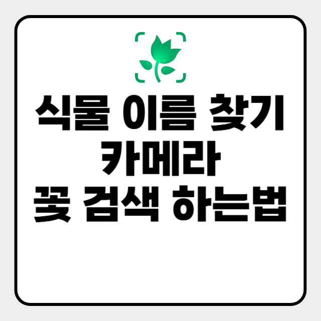  꽃 검색 카메라