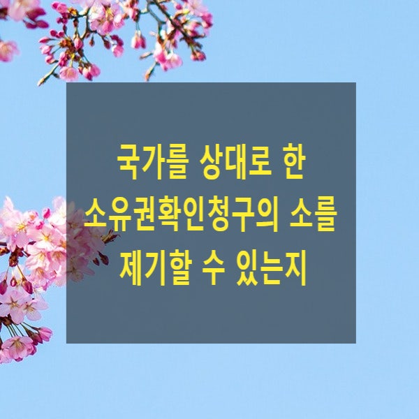  국가를 상대로 한 소유권확인청구의 소를 제기할 수 있는지(확인의 이익)
