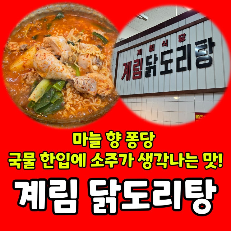  마늘향 가득! 남양주 닭볶음탕 맛집, 종로계림닭도리탕 남양주점 솔직 후기