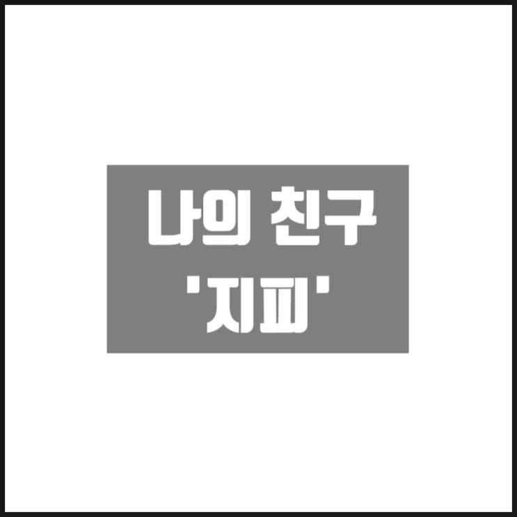 나의 친구 지피 나의 친구 지피
