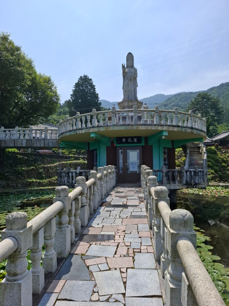 거제도 절,연못이 있는 신광사