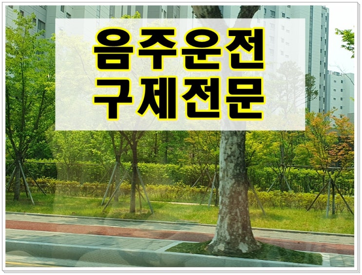  대구 음주운전 행정사 단속된 후 처분 절차는