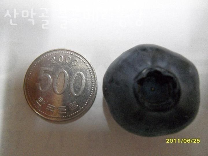 산막골 사진 2