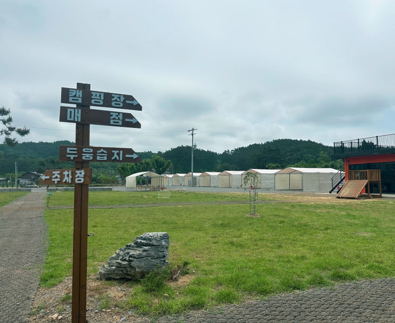 사진 7