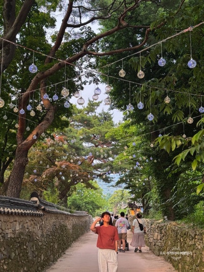 사진 7
