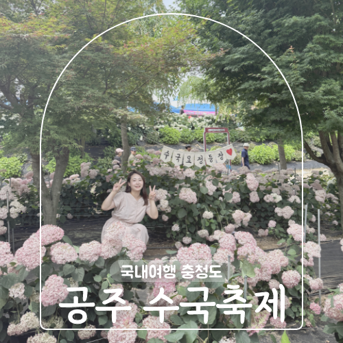 사진 10