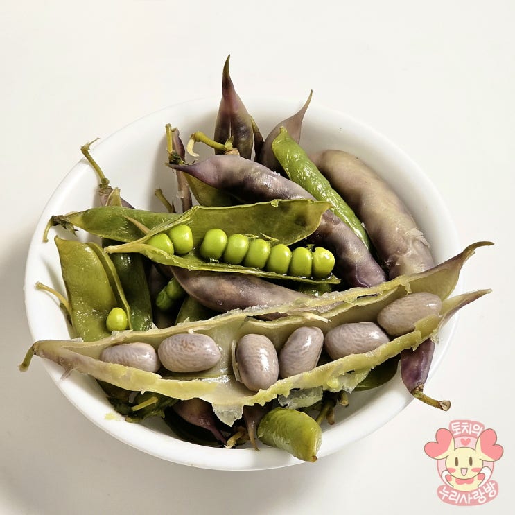 콩이 맛있어서 완두콩 강낭콩 삶아 먹는 이야기