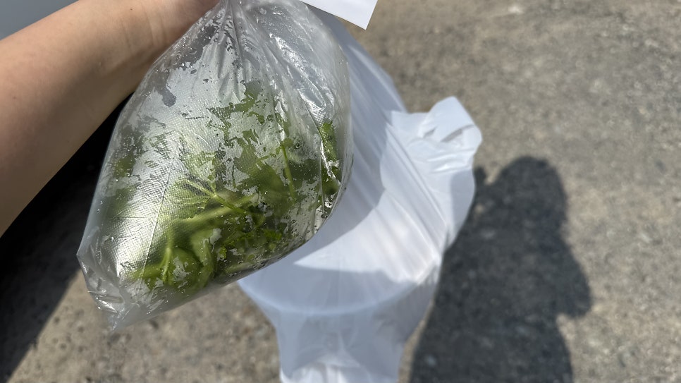 성전양푼이식당 사진 4