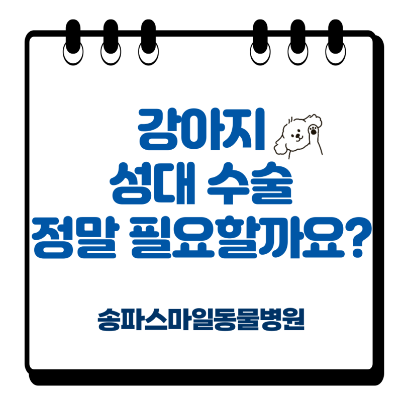 강아지 성대수술, 단순 짖음 문제일까요?