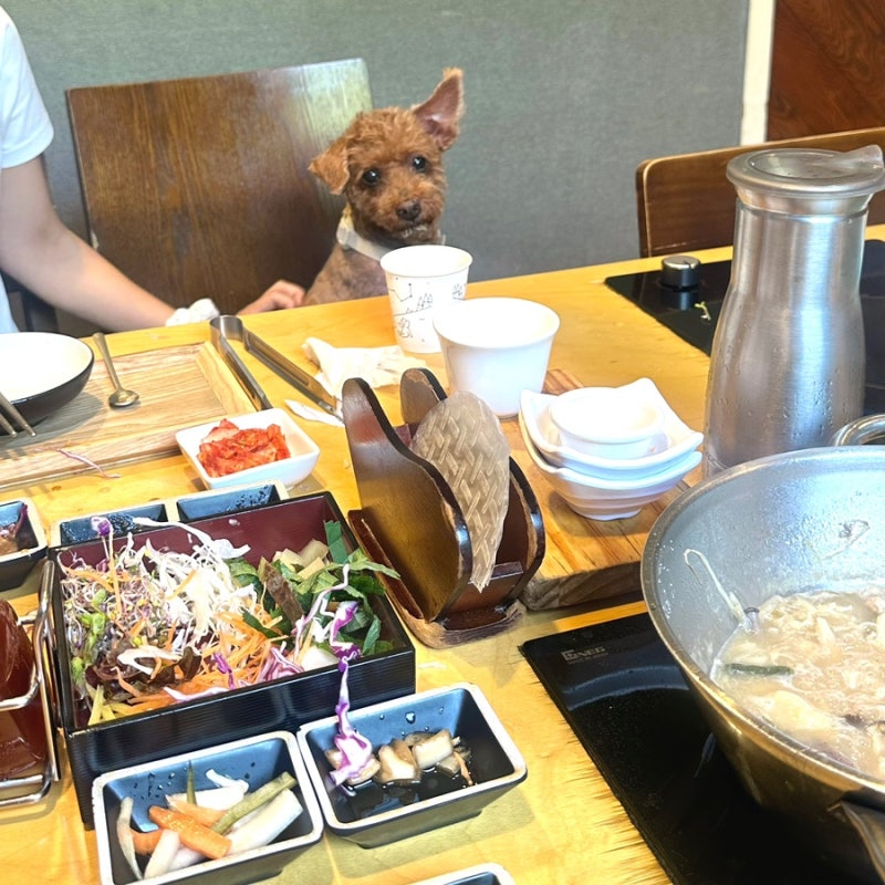 부산 해운대 애견동반식당 강아지 프라이빗룸 샤브야