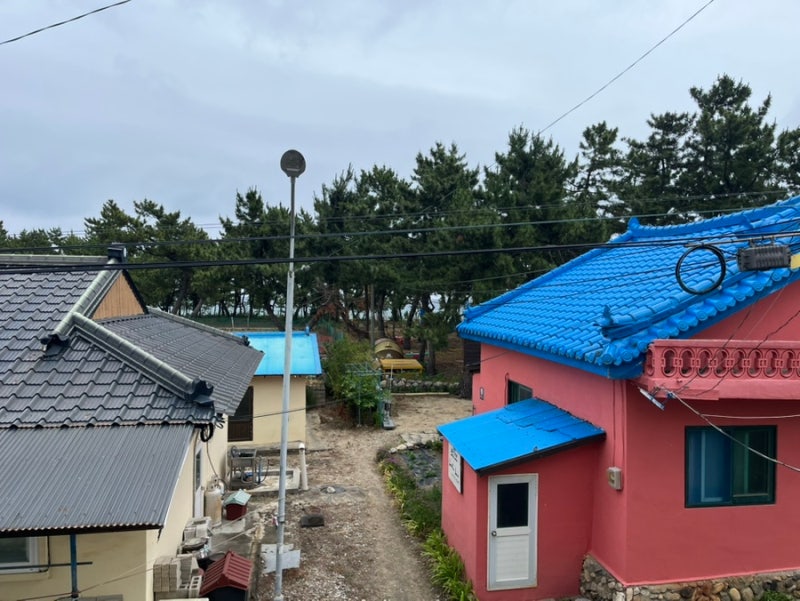 사진 4