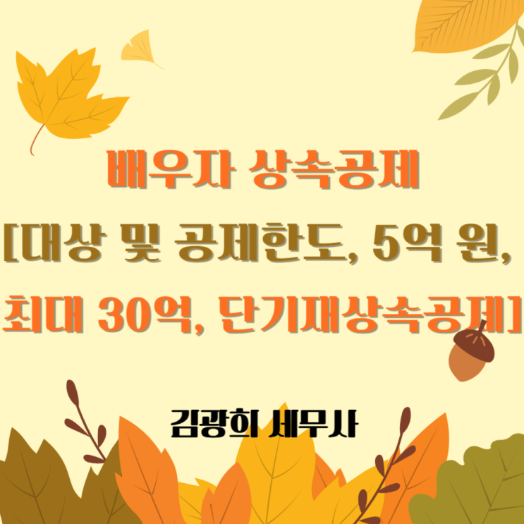  배우자 상속공제[대상 및 공제한도, 5억 원, 최대 30억, 단기재상속공제]