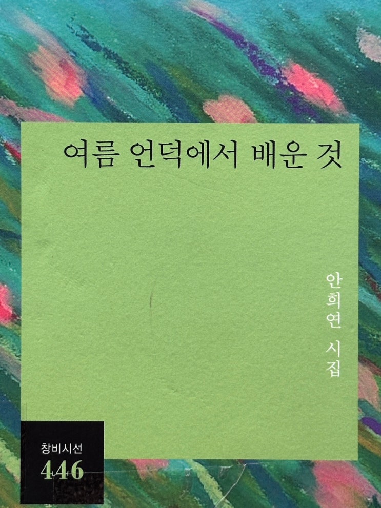 초여름 문장들 짧고 좋은 시 여름 언덕에서 배운 것