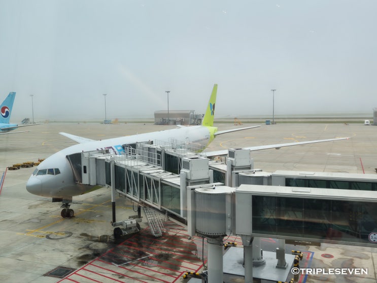  진에어 B777-200ER 오키나와 직항 탑승기 | 지니플러스 좌석, 서비스 후기!