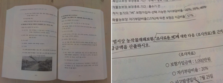  농촌 지역 이장으로서의 손해평가사자격증 취득기
