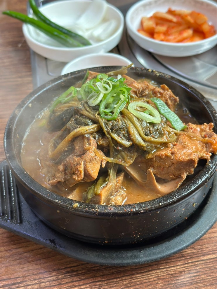  강릉 주문진 아침식사 뼈해장국 현지인 맛집 행운해장국