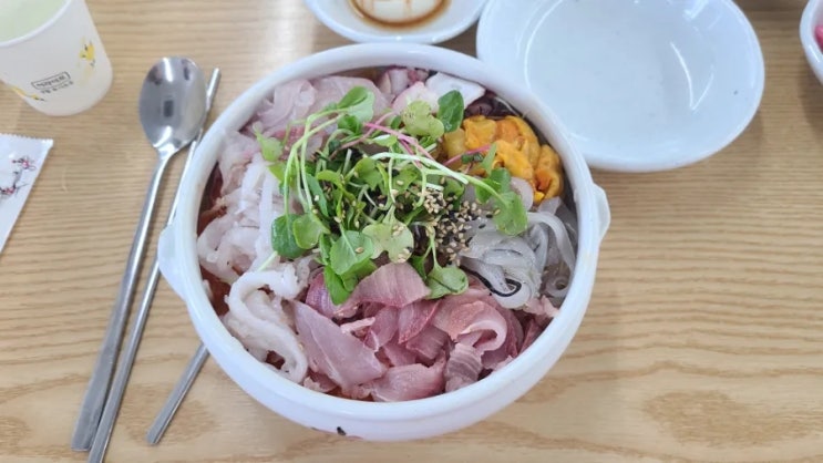  속초 물회 맛집 속초항아리물회 - 내돈내산 찐 후기