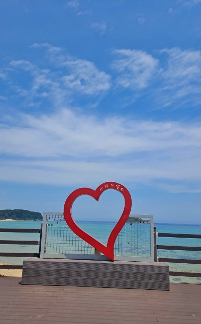 사진 5